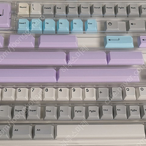 GMK Muted 2 + 퍼플 시안 킷