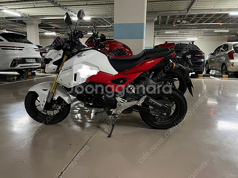 msx 125 20년식 9500km 230만--0
