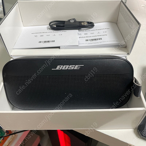 Boss soundlink flex