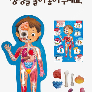 하페 인체 퍼즐