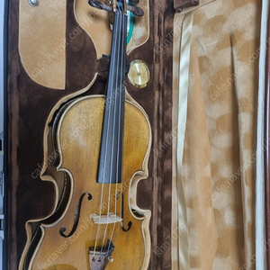 홍성우 바이올린