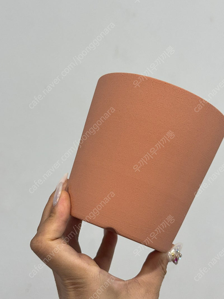 두갸르송 비올레11 이미지