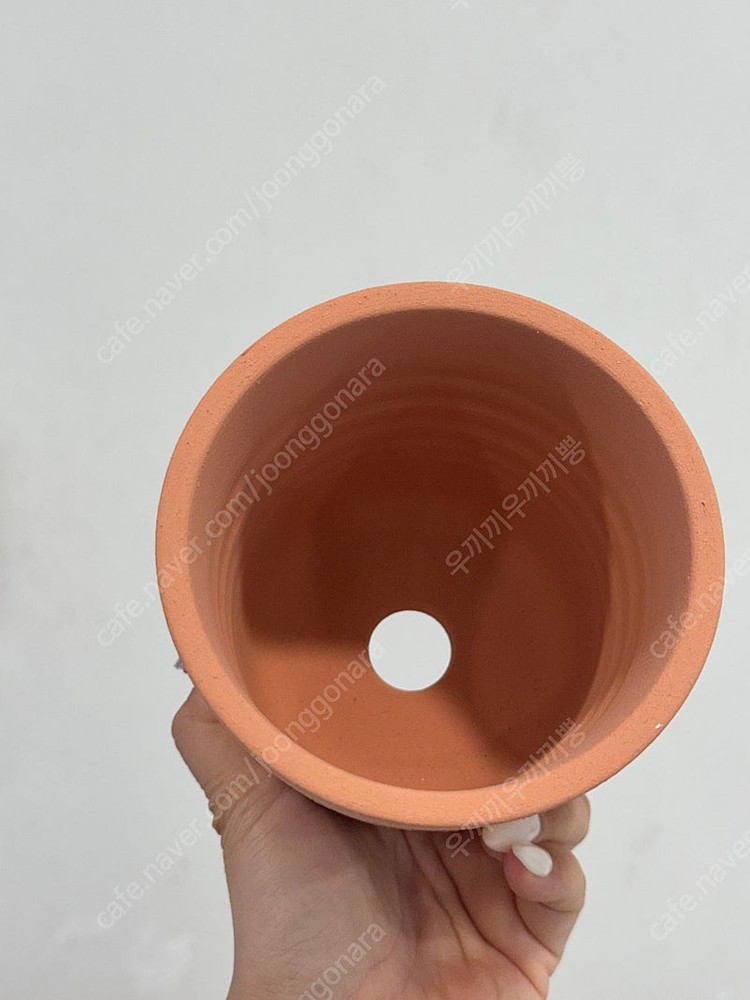 두갸르송 비올레11 이미지