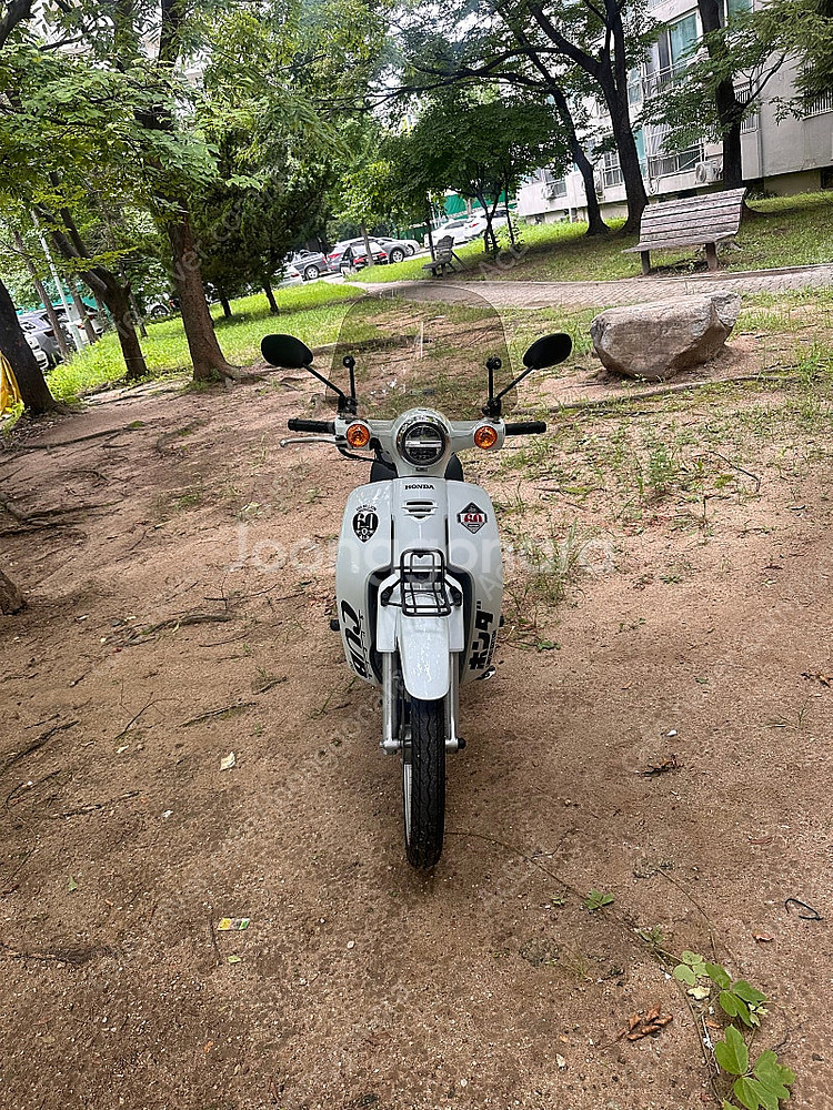 슈퍼커브 110 23년식 2400km--3