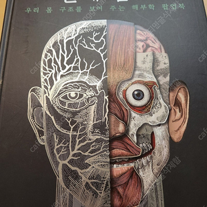 인체탐구 팝업북