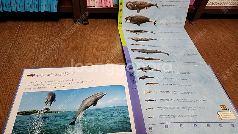 탄탄 자연속으로(100권)--3