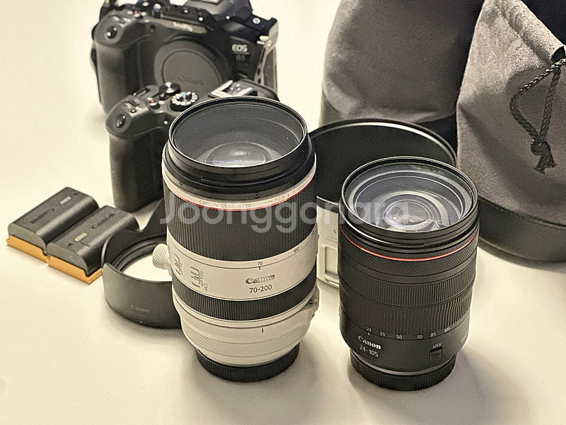 캐논 R6mark2, RF 24-105, RF 70-2...--0