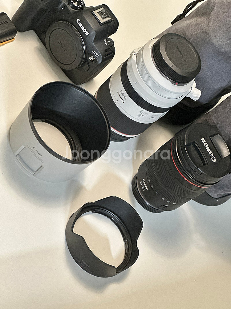캐논 R6mark2, RF 24-105, RF 70-2...--4