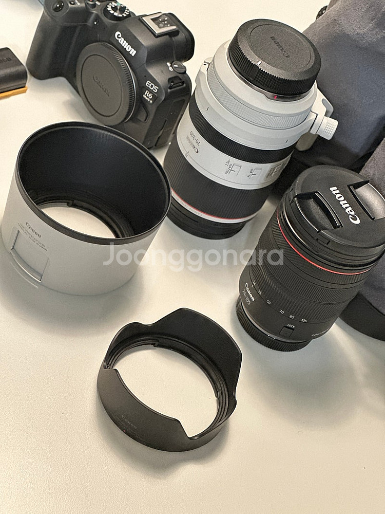 캐논 R6mark2, RF 24-105, RF 70-2...--6