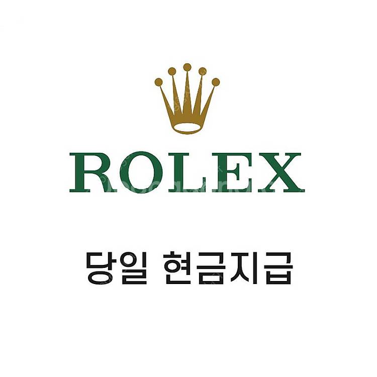 롤렉스 오데마피게 파텍필립 바쉐론 각 브랜드 금통 전 ...--0