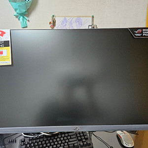 ASUS PG248QP 에이수스 540hz 모니터 팝니다 [완전 새 것]