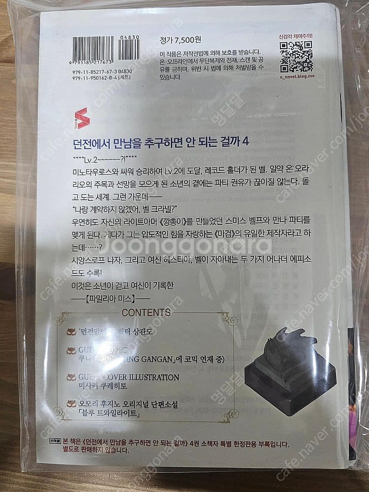 (라노벨)던전에서 만남을 추구하면 안 되는 걸까?(던만...--5
