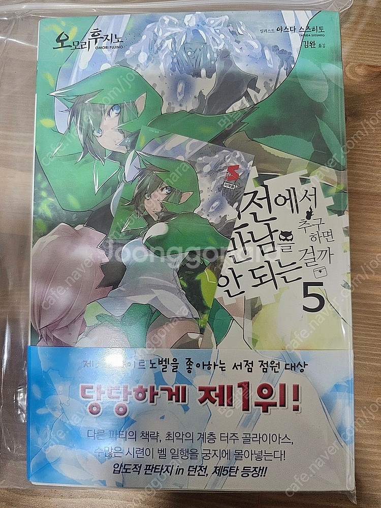 (라노벨)던전에서 만남을 추구하면 안 되는 걸까?(던만...--6