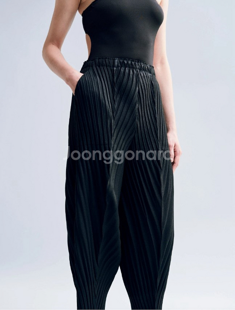 이세이미야케 린넨 라이크 플리츠 팬츠 LINEN LIK...--0
