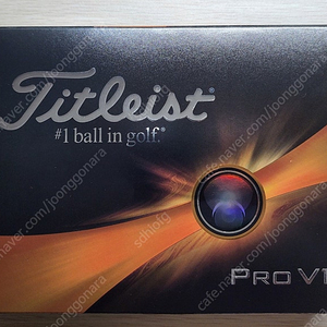 타이틀리스트 프로 v1 12구 (2세트 구매시 할인)