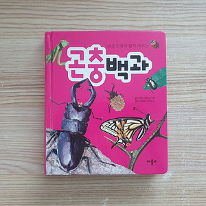 애플비 곤충백과 (1,000원)