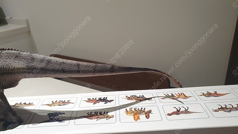 하오롱굿 마멘키사우루스, 마멘치사우루스 (본심남개, 만롱당, pnso)--3