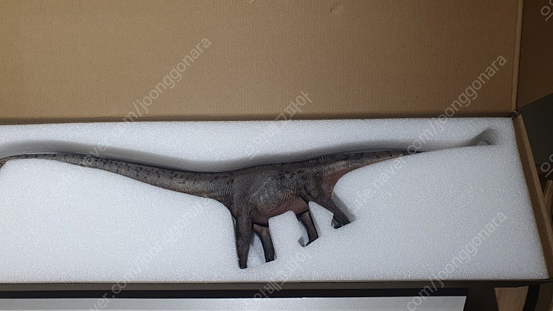 하오롱굿 마멘키사우루스, 마멘치사우루스 (본심남개, 만롱당, pnso)--4