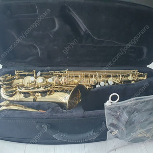 Selmer Alto Axos 팝니다 (셀마 알토 악소스)