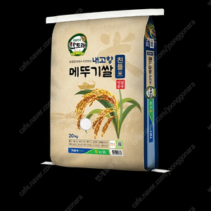 선착순)23년햅쌀 상등급 내고향 메뚜기쌀 친들미20kg 무료배송41900원 당일도정