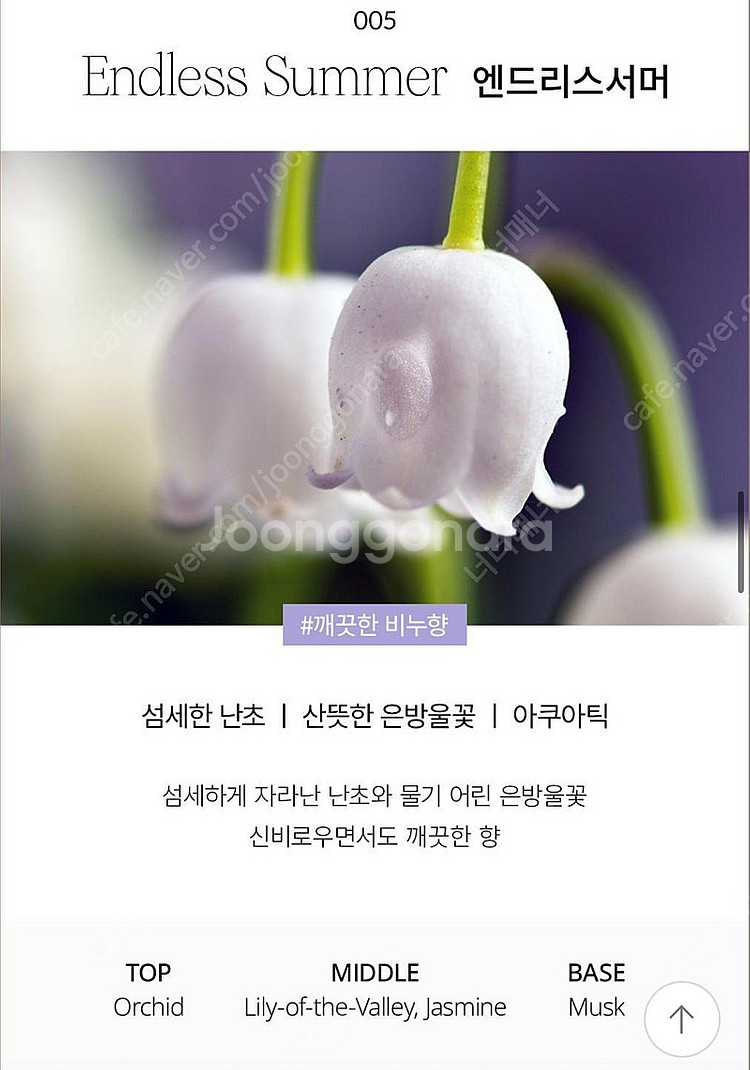 (미개봉 새상품 선물포장) 유즈 헤어 퍼퓸 (+스크런치...--1