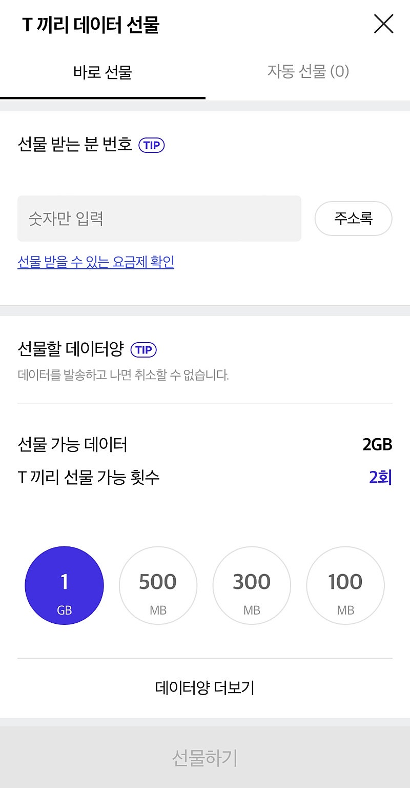 SKT 2GB--0