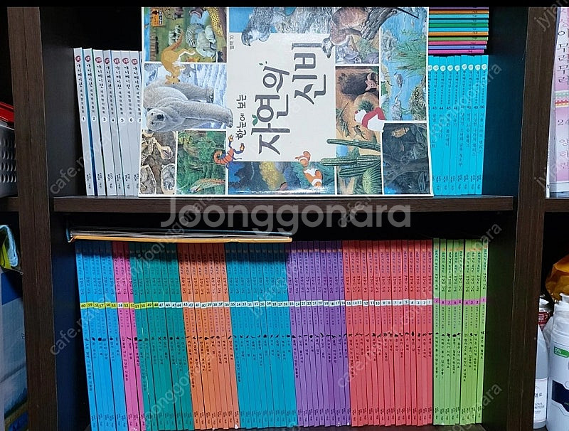 (가격내림)교원 교과서가 보이는 자연의신비,호야토야 첫...--2