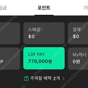 Ldf pay 롯데면세점