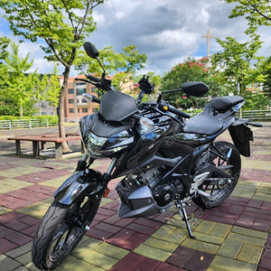 스즈키 GSX S 125