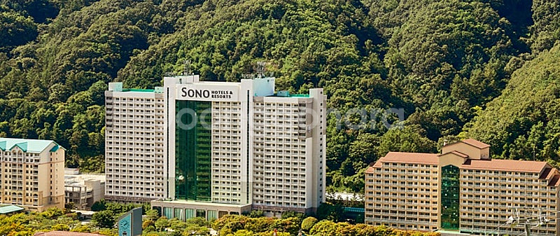 롯데리조트 속초 켄싱턴 설악비치 무창포 비체팰리스 성수...--0