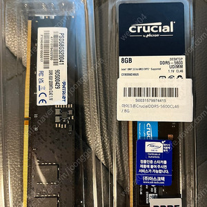 마이크론 패트리어트 ddr5 8g