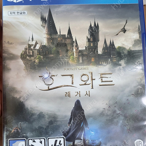 Ps4 호그와트레거시