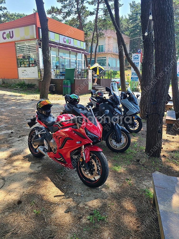 23년식 포르자350 판매--9