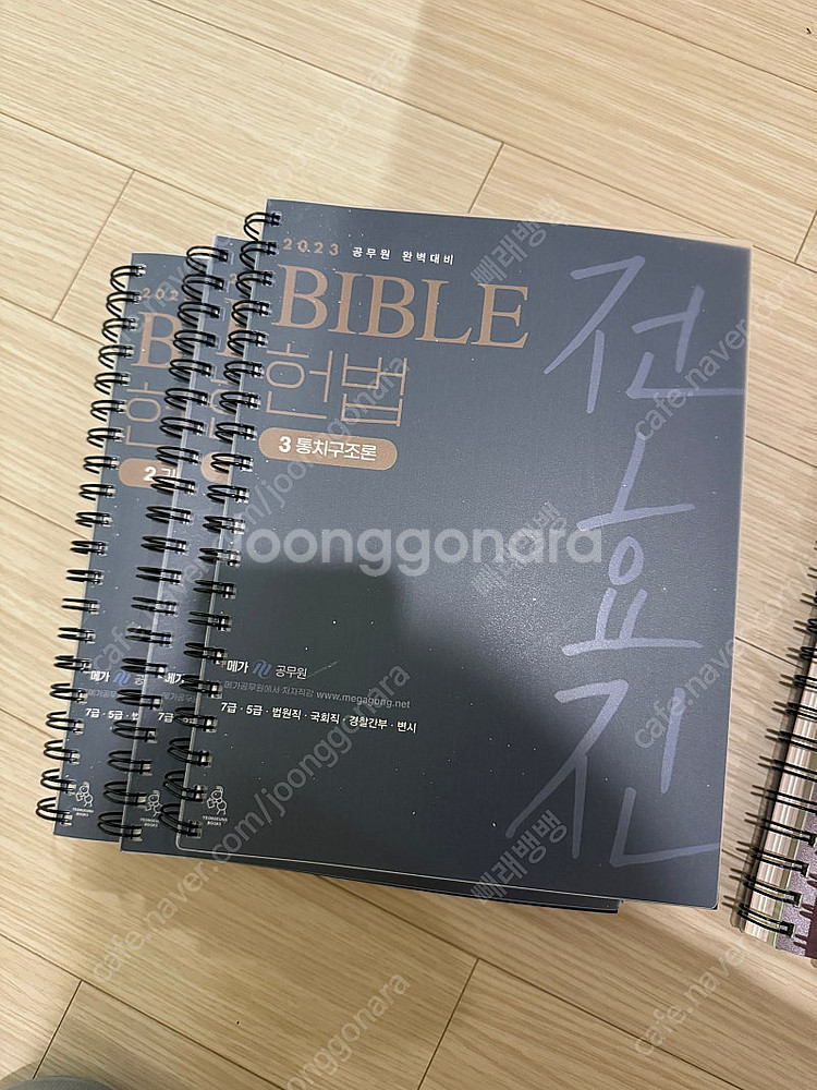 전효진 헌법 스프링분철--0