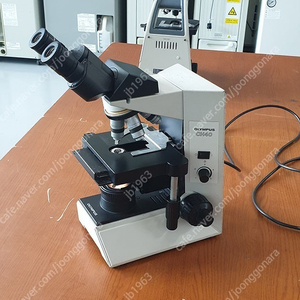 OLYMPUS CH40 MICROSCOPE