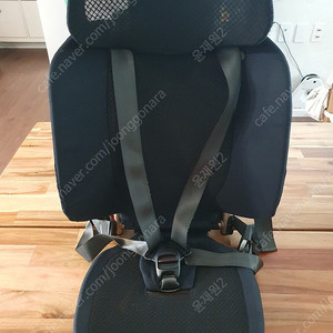 포브 보네떼 휴대용 카시트