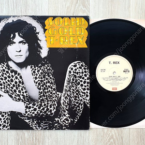 (LP 판매) 티 렉스 (T. Rex) Solid Gold 1979년 영국반