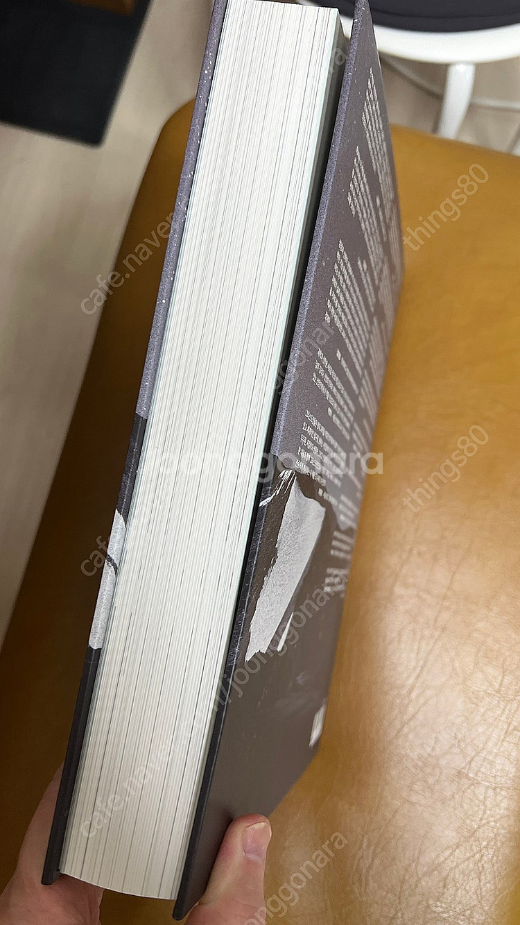 기원이론,그랜드캐니언 오래된 지구의 기념비--1