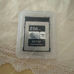 렉사 256GB Professional CFexpress 메모리카드