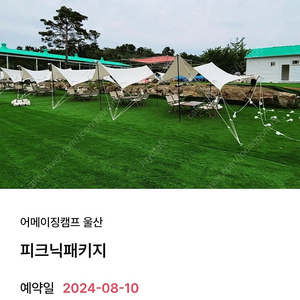 어메이징캠프 울산 피크닉패키지 8월10일