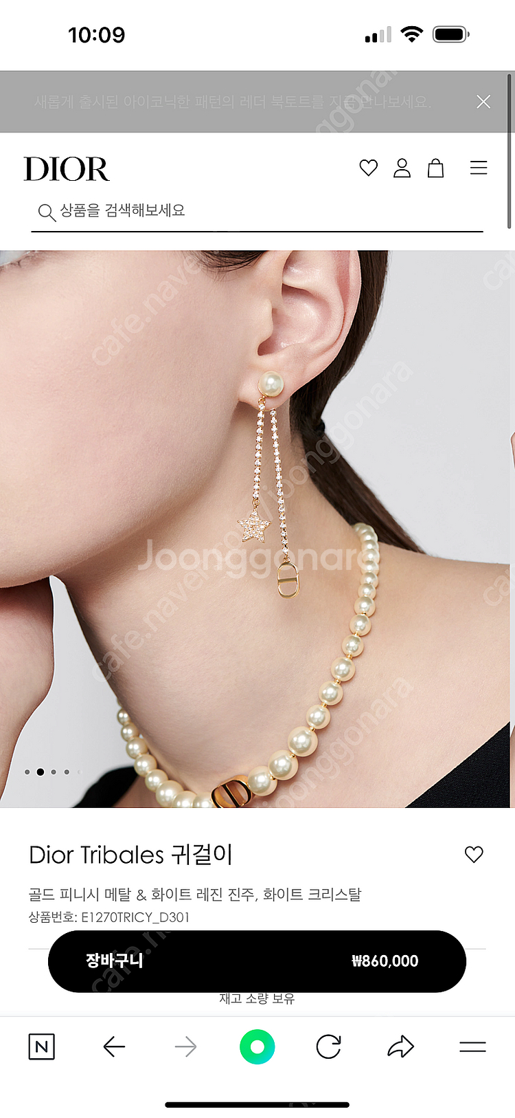 디올 귀걸이 가격다운--1