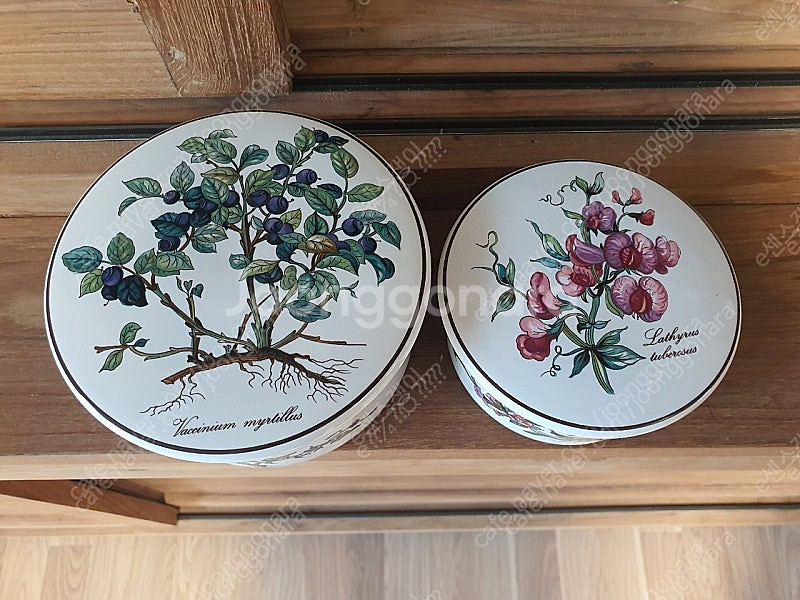 빌보 보타니카 샌드위치, 옆그림 캔박스, 허리케인램프,...--6
