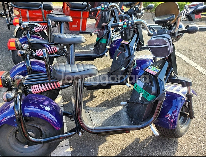 중고 2륜3륜4륜 전동차 전동스쿠터판매--8