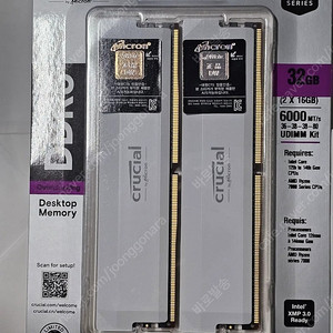 마이크론 DDR5 PC5-48000 CL36 PRO Overclocking White 32GB (16GB*2)