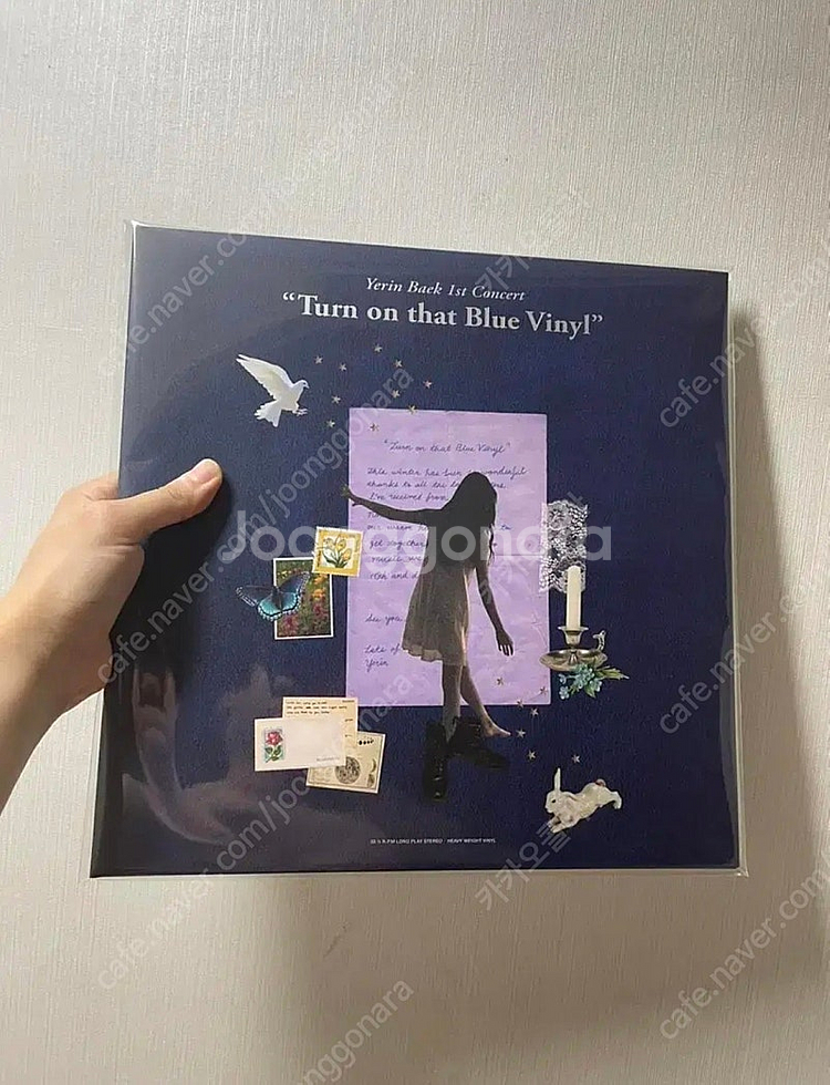 백예린 라이브 Lp--0