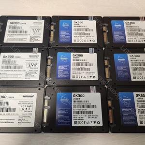 SSD 타뮤즈 256GB GK300