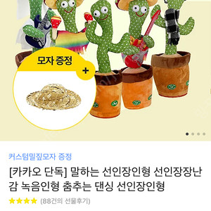 다다문구 움직이는 선인장 (마라카스 선인장)