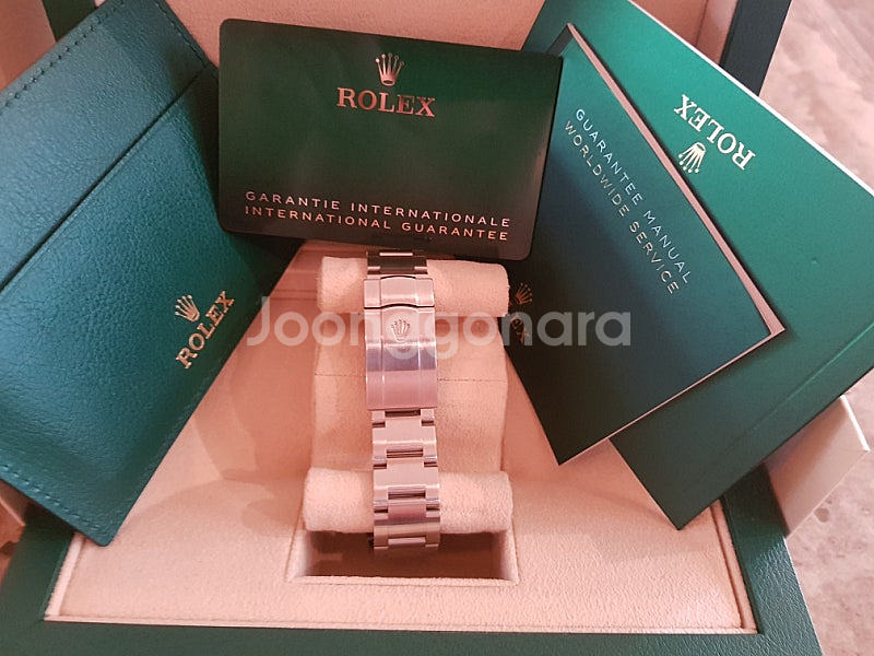 로렉스 오이스터 퍼페추얼 41mm 더콰이즈 124300--4