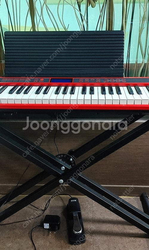롤랜드 Roland 전자건반 고키 (Roland Go-...--2