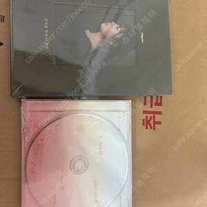 최유리 cd